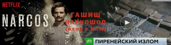 прущие крисы Бородино