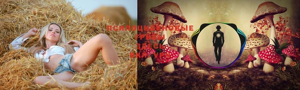 мет Бугульма