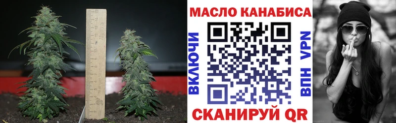 Купить где  Нестеровская  ТГК THC oil 
